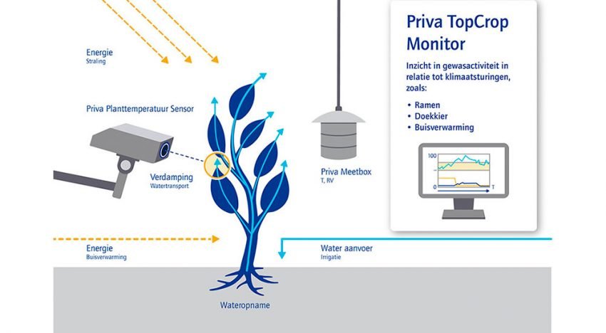 Priva TopCrop Monitor seminar bij Demokwekerij
