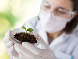 Plantweerbaarheid wordt de nieuwe norm