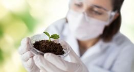 Plantweerbaarheid wordt de nieuwe norm