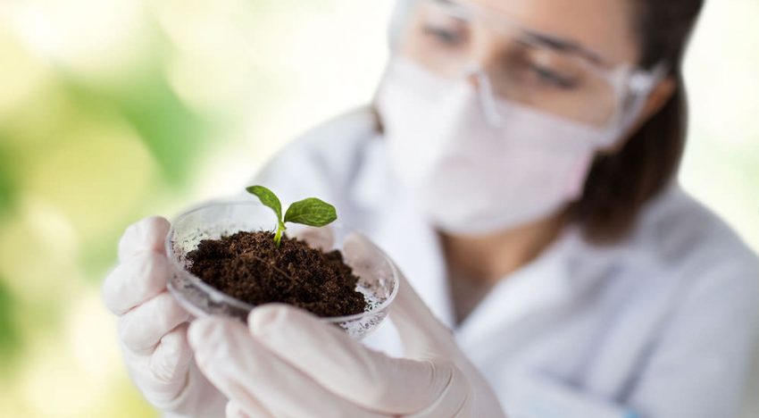 Plantweerbaarheid wordt de nieuwe norm