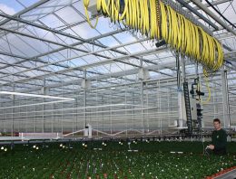 Meten plantweerbaarheid is mogelijk maar vergt nog meer kennis