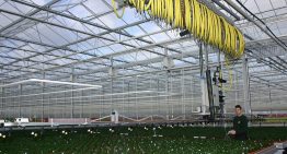 Meten plantweerbaarheid is mogelijk maar vergt nog meer kennis