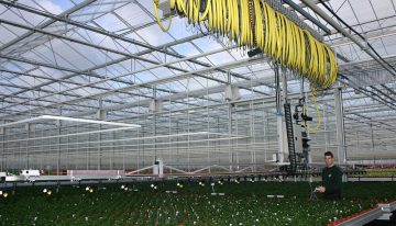 Meten plantweerbaarheid is mogelijk maar vergt nog meer kennis