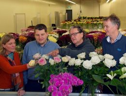 Proeven perspectiefvol, opschaling naar praktijk nieuwe uitdaging