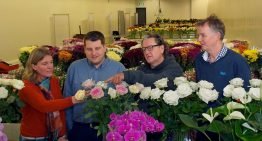 Proeven perspectiefvol, opschaling naar praktijk nieuwe uitdaging