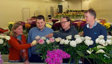 Proeven perspectiefvol, opschaling naar praktijk nieuwe uitdaging