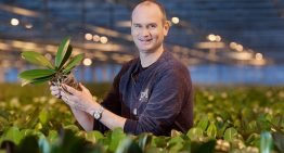 Biostimulanten geven microleven duwtje in de rug