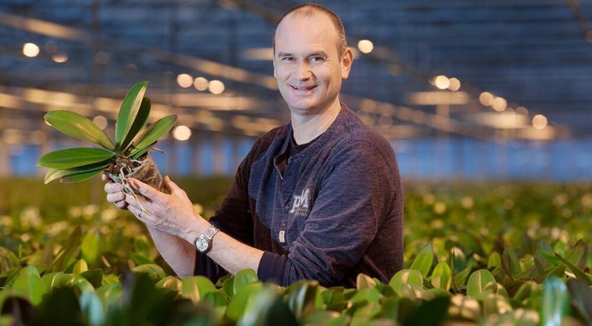 Biostimulanten geven microleven duwtje in de rug Biostimulanten geven microleven duwtje in de rug