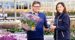Met innovaties de houdbaarheid in de keten verbeteren