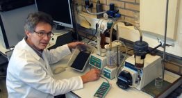 Onderzoek biochar als potgrond en drager voor levende biostimulanten