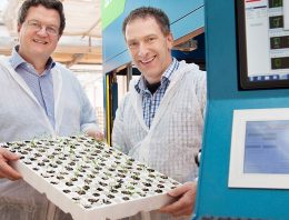 Automatisch sorteren groenteplanten geeft sterk en uniform uitgangsmateriaal