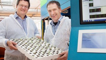 Automatisch sorteren groenteplanten geeft sterk en uniform uitgangsmateriaal
