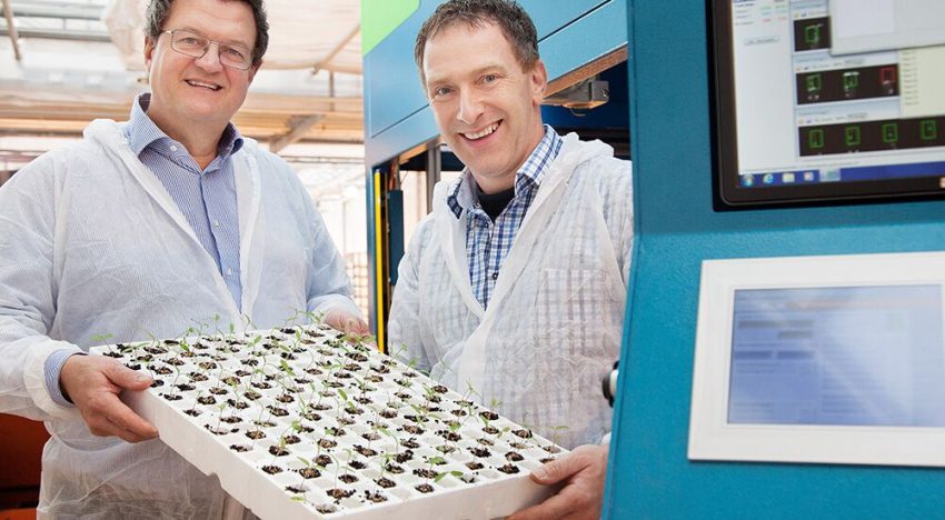 Automatisch sorteren groenteplanten geeft sterk en uniform uitgangsmateriaal