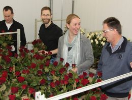 GreenChainge mikt op verduurzaming im- en exportstromen