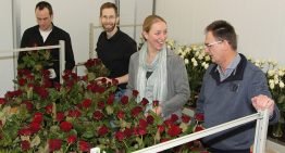 GreenChainge mikt op verduurzaming im- en exportstromen