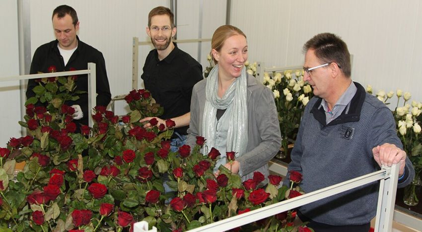 GreenChainge mikt op verduurzaming im- en exportstromen