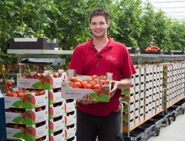 Drie tuinders in Zeeuws-Vlaanderen breiden flink uit
