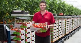 Drie tuinders in Zeeuws-Vlaanderen breiden flink uit