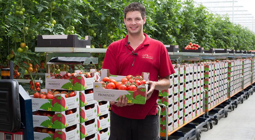 Drie tuinders in Zeeuws-Vlaanderen breiden flink uit Drie tuinders in Zeeuws-Vlaanderen breiden flink uit