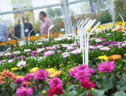 Flower Trials zijn essentieel evenement geworden op sierteeltkalender