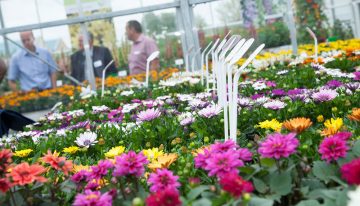 Flower Trials zijn essentieel evenement geworden op sierteeltkalender