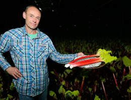 ‘Vooral de Engelsen zijn rabarberliefhebbers’