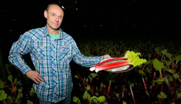 ‘Vooral de Engelsen zijn rabarberliefhebbers’