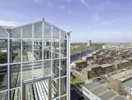 Groenteteelt in de stad groeit