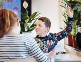 Planten zuiveren lucht, maar praktische invulling stuit op gebrek aan kennis