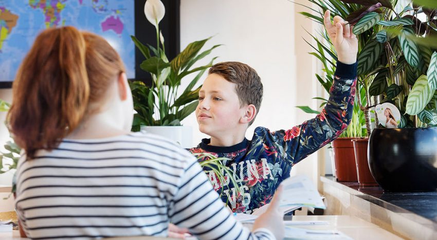 Planten zuiveren lucht, maar praktische invulling stuit op gebrek aan kennis Planten zuiveren lucht, maar praktische invulling stuit op gebrek aan kennis