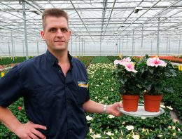 ‘Een luxeproduct voor de echte liefhebber’
