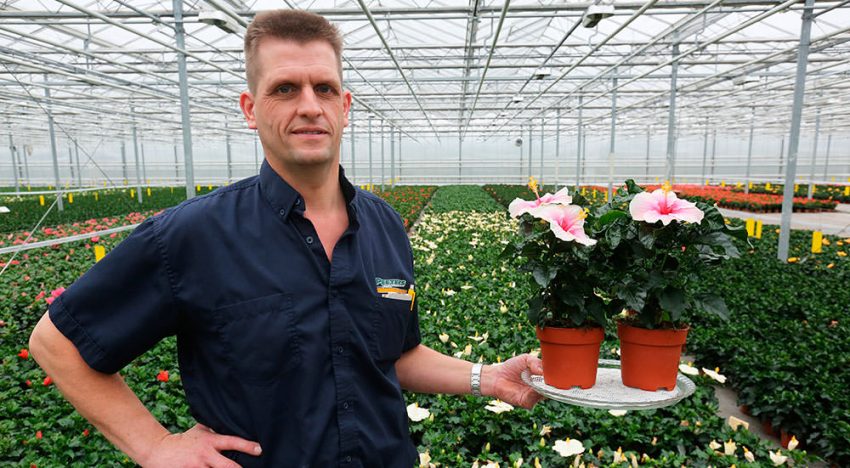 ‘Een luxeproduct voor de echte liefhebber’