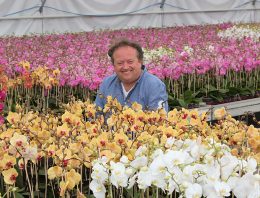 Phalaenopsisteler bijt spits af met gecertificeerde biologische productie