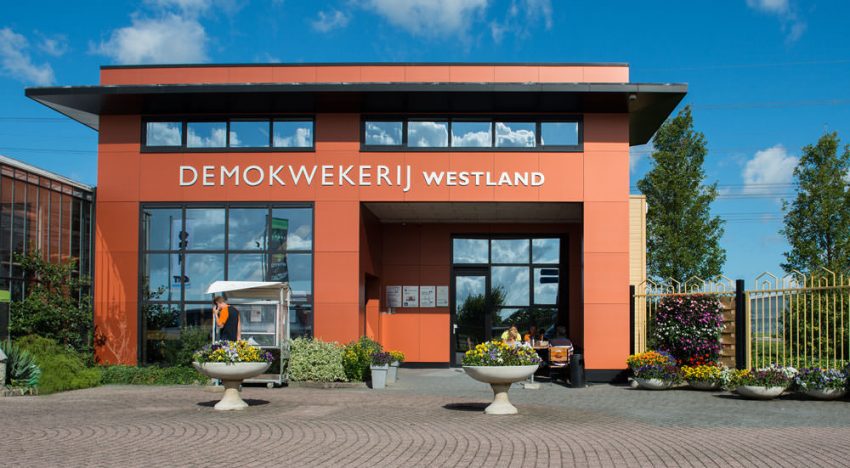 Al 50 participerende bedrijven voor Demokwekerij Westland