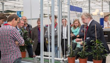 Ficus-robot voor automatisch opbinden rijp voor markt