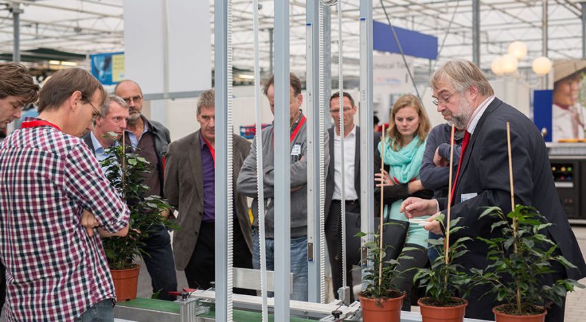 Ficus-robot voor automatisch opbinden rijp voor markt