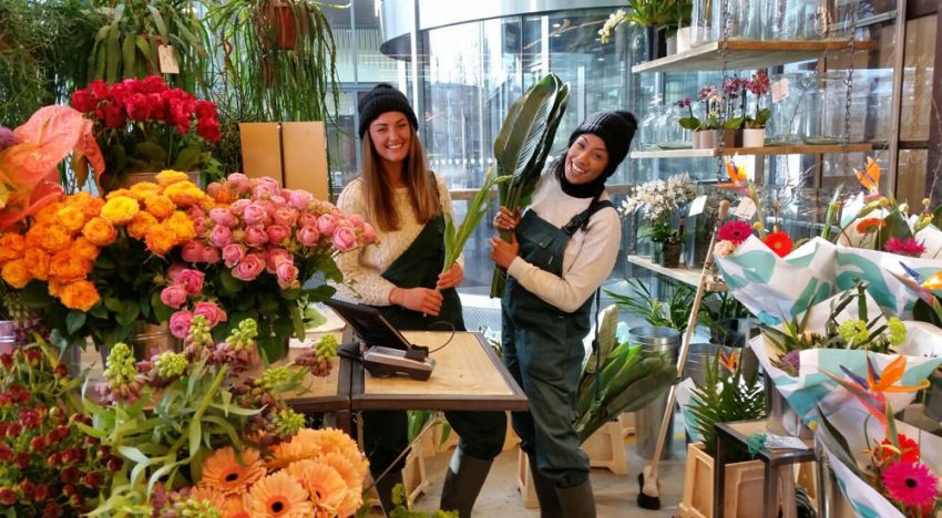 Toegevoegde waarde creëren in de tuinbouw doe je zo