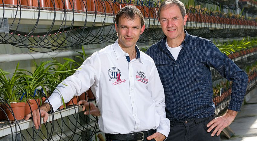 Klimaat is perfect voor orchideeënteelt en afzetkansen zijn goed
