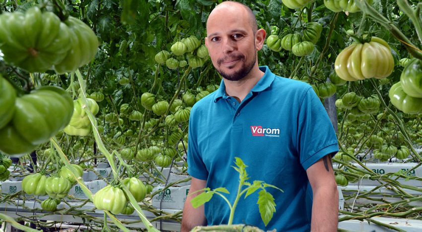 Vervuiling watersysteem aangepakt met polyfosfaat en biocide