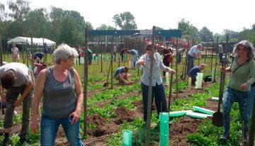 Leren van samenwerking met stadslandbouw