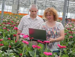 Nieuw pakket voor gewasregistratie helpt gerberatelers vooruit