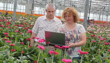 Nieuw pakket voor gewasregistratie helpt gerberatelers vooruit