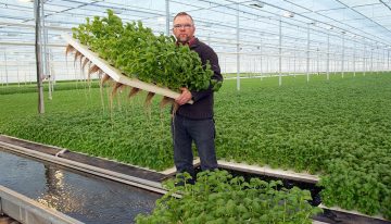 Bladgewassen geschikt voor waterteelt, bij bloemen meer kennisopbouw nodig