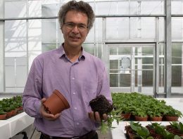 Verrassende materialen zetten onderzoekers op duurzaam spoor