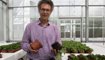 Verrassende materialen zetten onderzoekers op duurzaam spoor