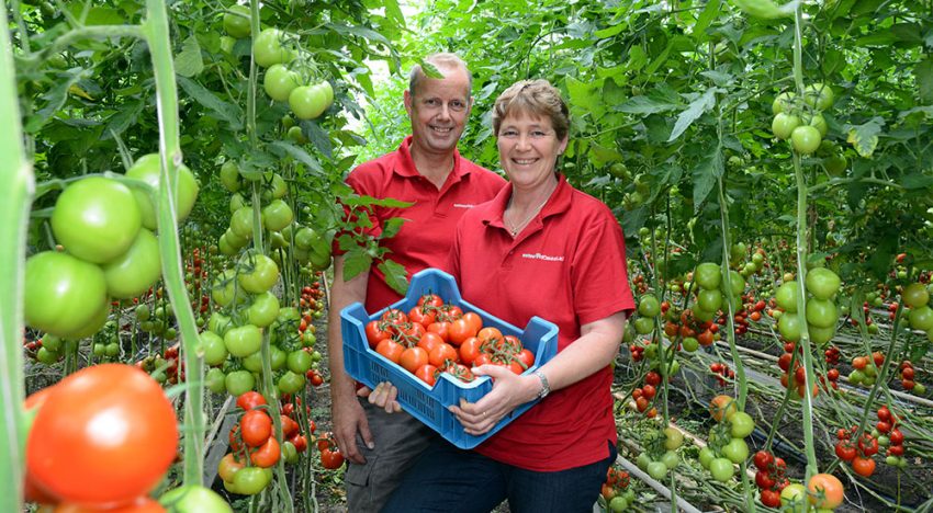 ‘Plezier in werk terug door bioteelt, workshops en huisverkoop’