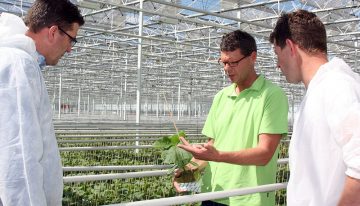 ‘Het substraat verandert mee met de wensen van de plant’