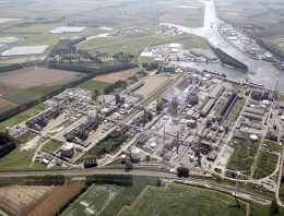 Nieuwe tuinbouwgebieden richten zich vooral op groenteteelt
