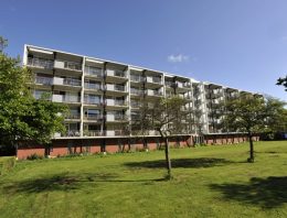 Kwekerij Ammerlaan gaat aardwarmte leveren aan woonwijk