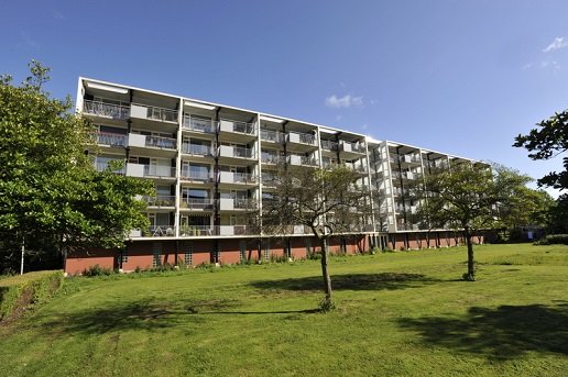 Kwekerij Ammerlaan gaat aardwarmte leveren aan woonwijk